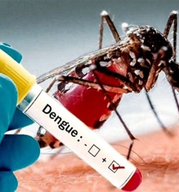 Dengue: Destinan 2 horas de una jornada escolar para capacitar docentes