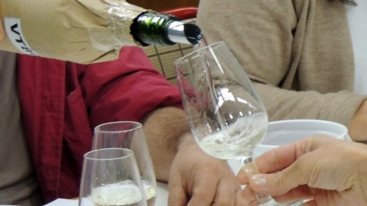 Cuatro vinos de San Juan y uno de La Rioja ganaron el Gran Oro en la Cata San Juan 2024