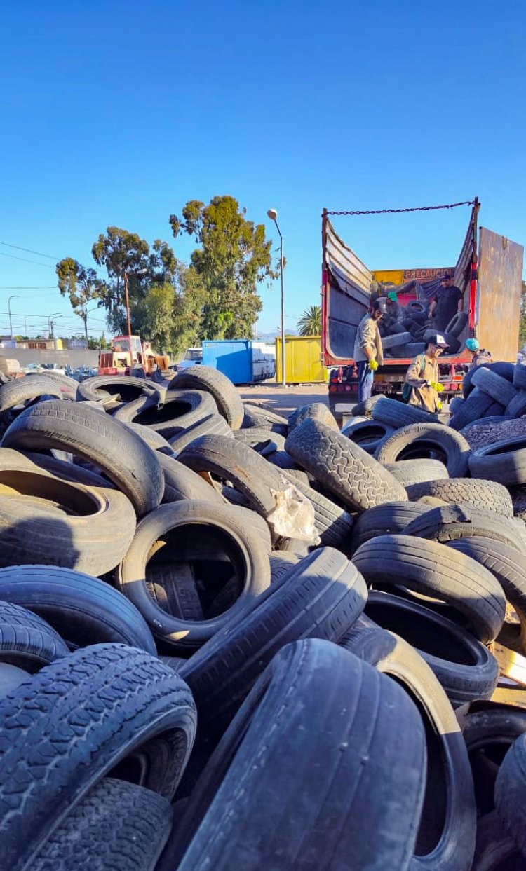 La Ciudad recolecta más de 20,000 kilos de Neumáticos promoviendo la Economía Circular y preveniendo el Dengue