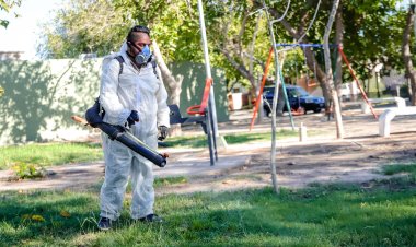 Desinsectación y desratización en la Ciudad
