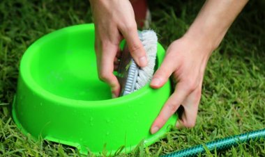 En San Juan comienza la Semana de barrios sin dengue