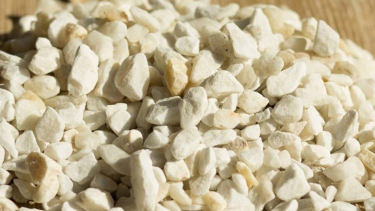 Zeolita: el mineral aliado en la salud de los cultivos