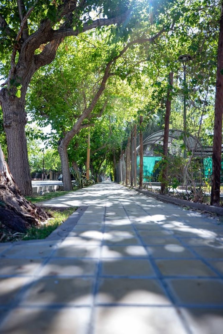 La Ciudad recibe las fiestas con remodelaciones en la UV del Barrio Parque Universitario