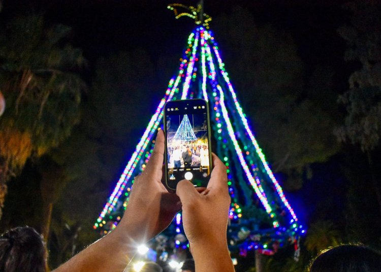 Brilla en Jáchal el Tradicional Arbolito Navideño