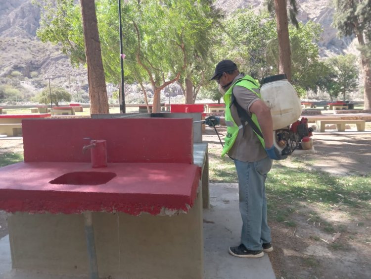 Rivadavia se prepara para el verano con trabajos de desinfección en el Camping  Municipal