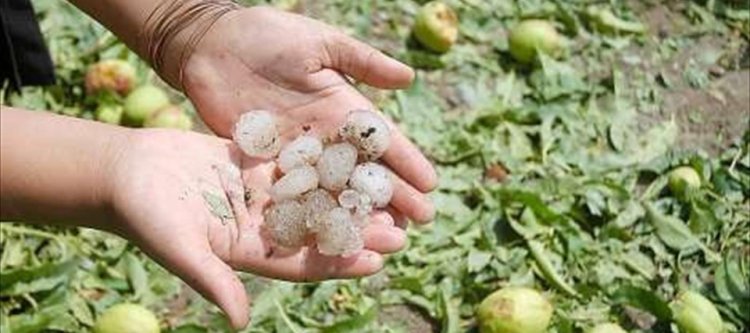 Nuevamente el granizo afectó varios departamentos
