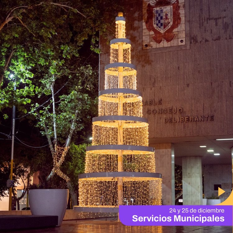 Conoce los servicios de la Ciudad durante Navidad
