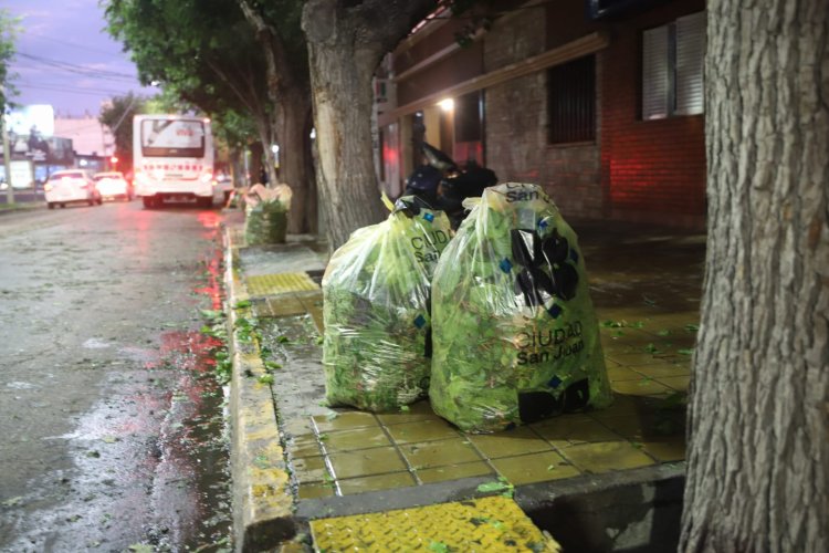 La Ciudad intensifica limpieza y relevamiento tras el granizo