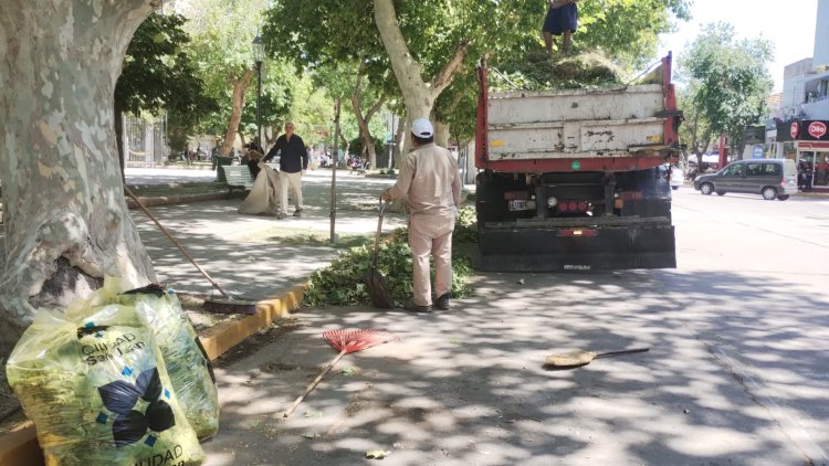 Operativo especial: la Ciudad trabaja intensamente tras la tormenta