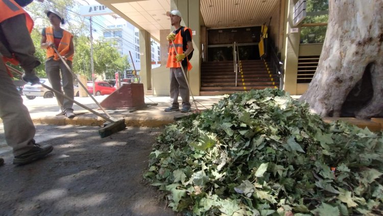 Operativo especial: la Ciudad trabaja intensamente tras la tormenta