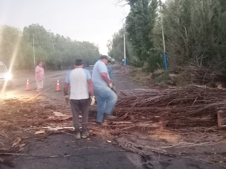 9 de Julio despejó rutas tras el intenso viento y lluvias