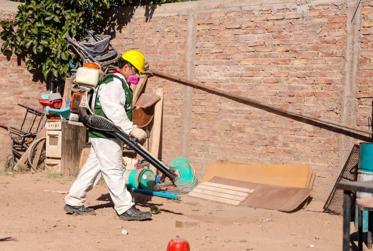 Así será la semana de desratización y desinsectación en la Ciudad