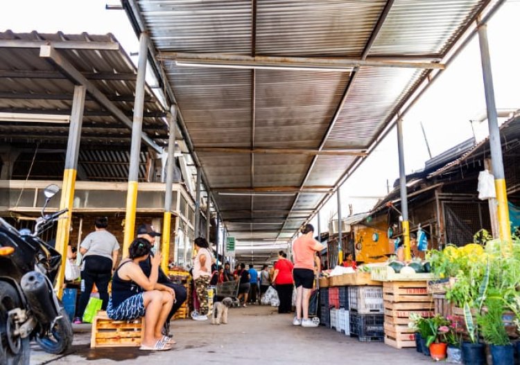 Trabajos de embellecimiento y mejoras en la Feria Municipal