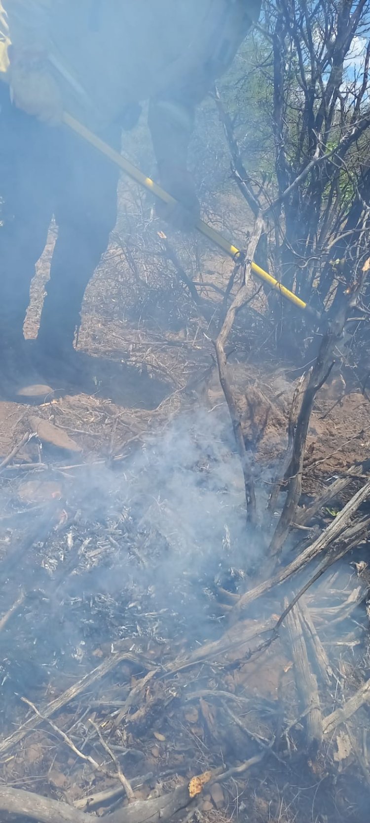 Bomberos trabaja en Valle Fértil para apagar los focos de incendio en las sierras