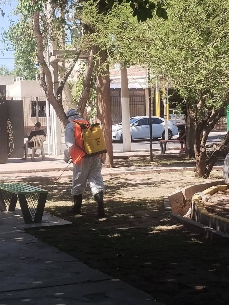 Rivadavia redobla esfuerzos contra el dengue
