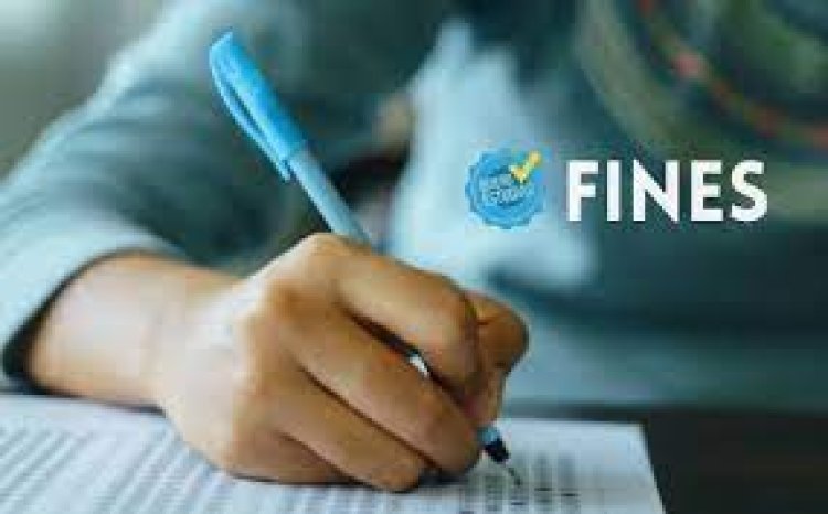 El 15 de enero comienzan las tutorías del Plan FinEs edición Verano