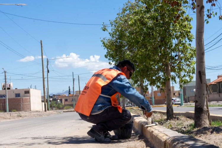 Rivadavia avanza con obras barriales priorizando el bienestar de los vecinos