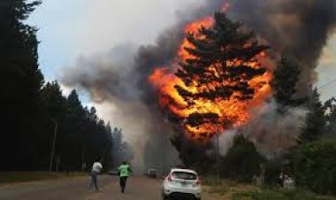 Presentaron en el Congreso un proyecto para endurecer las penas por incendios intencionales