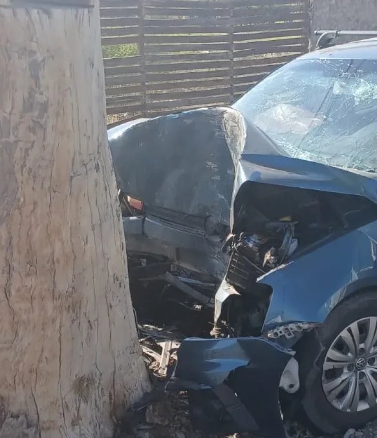 Un sanjuanino se estrelló con su auto contra un árbol