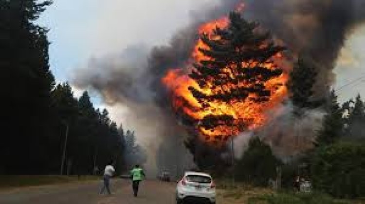 Presentaron en el Congreso un proyecto para endurecer las penas por incendios intencionales