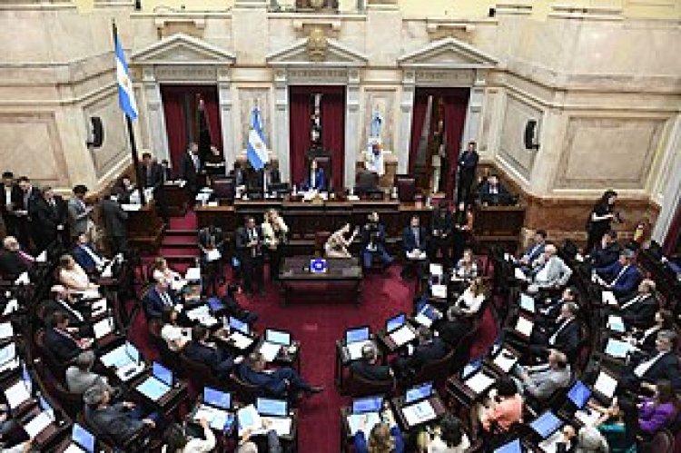 El Senado debate este miércoles la suspensión de las PASO