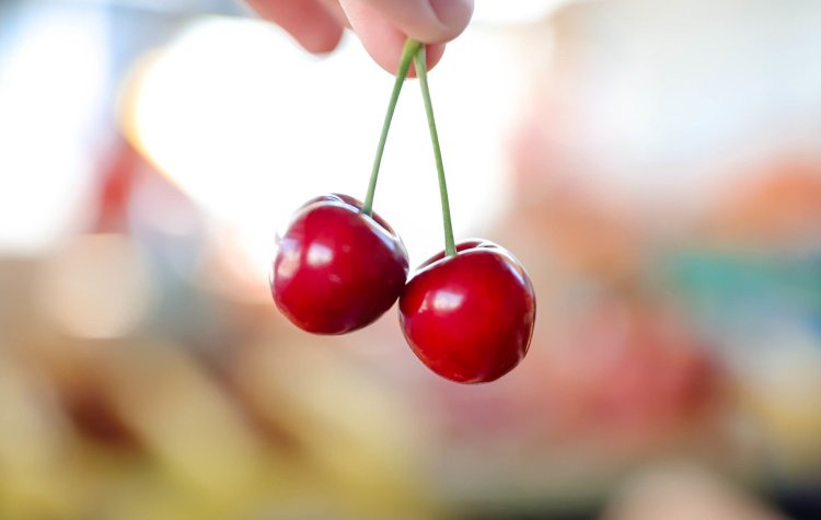 Estos son los precios de la Feria y Mercado de Abasto de la Ciudad