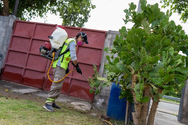 Campaña de desinsectación y desratización en la Ciudad de San Juan