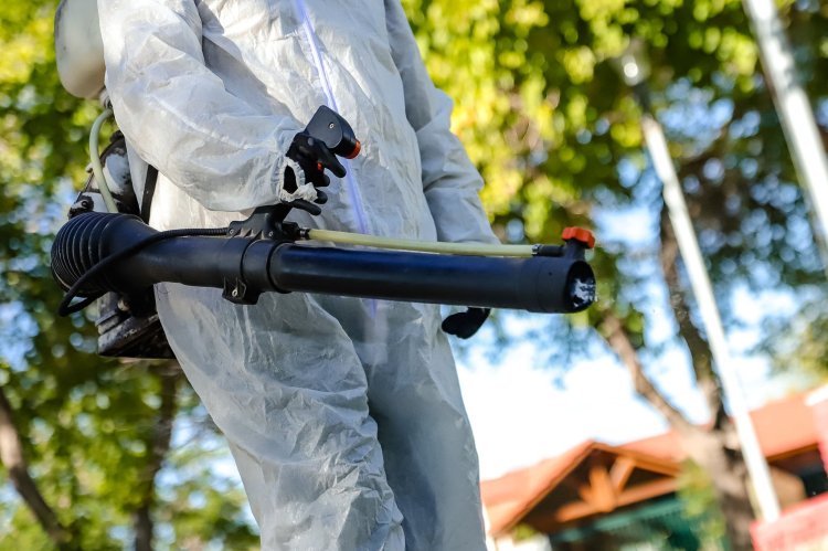 Desinsectación y desratización en la Ciudad: del 24 al 28 de febrero