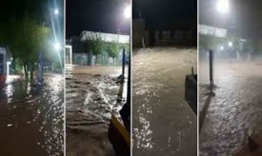 Intensas lluvias: 15 familias del departamento Albardón han sido evacuadas