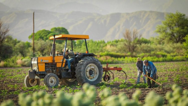 San Juan asiste al sector agrícola con más de 12.400 millones de pesos