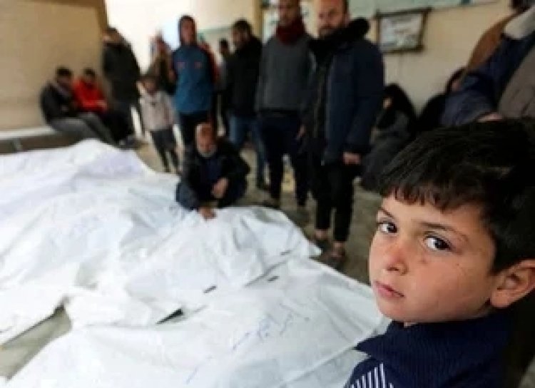 Israel ya mató a más de 50.000 palestinos en Gaza