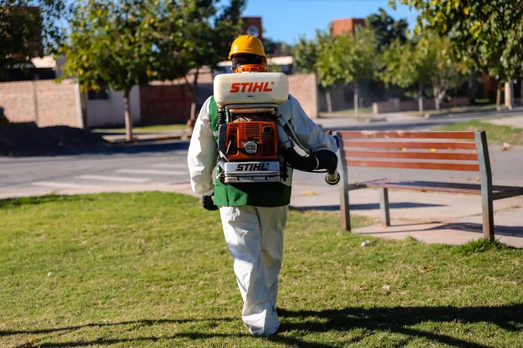La Ciudad intensifica su campaña de desratización y desinsectación en Villa del Carril y edificios municipales