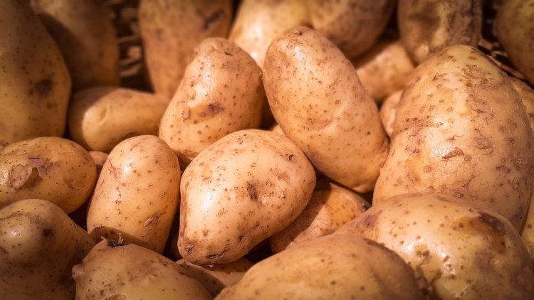 Feria y Mercado de Abasto: precios actualizados de productos saludables