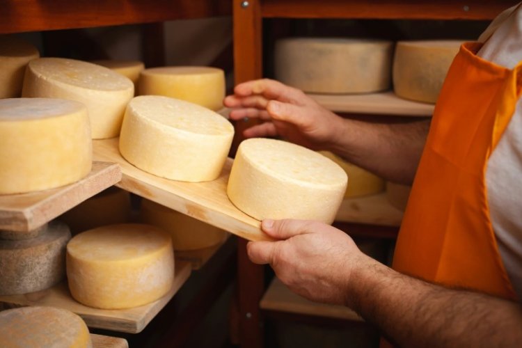 Día del Queso: crecimiento en la producción local y diversificación de su oferta