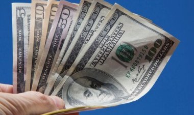 Se derrumban las cotizaciones de los dólares