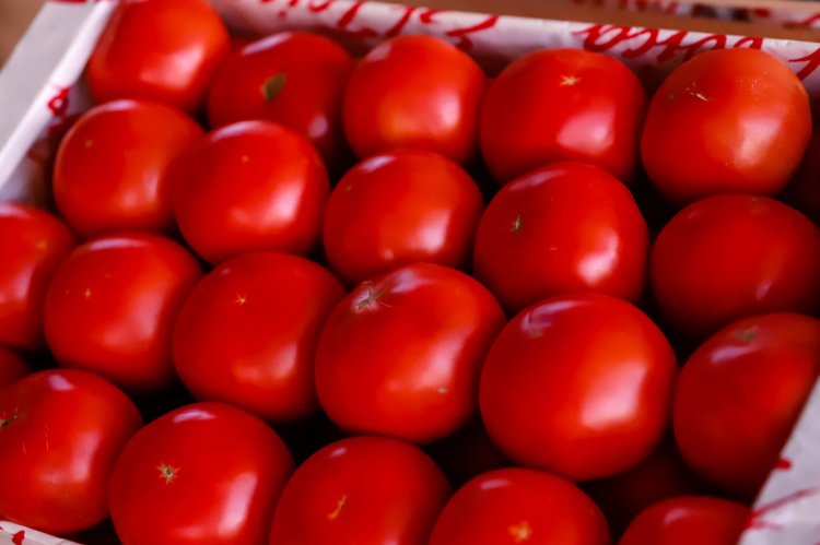 Feria y Mercado de Abasto: precios actualizados de productos saludables