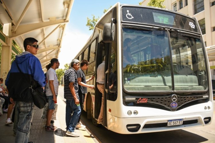 Modifican recorridos de seis líneas de colectivo para mejorar la conectividad con hospitales y la Terminal de Ómnibus