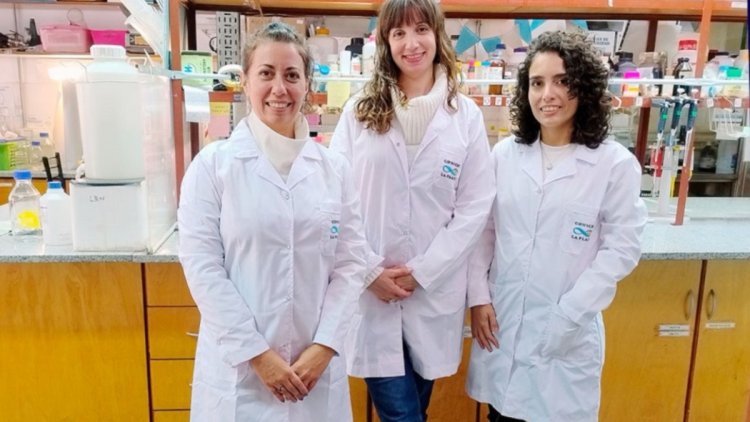 Científicas argentinas crearon un vendaje inteligente que acelera la cicatrización