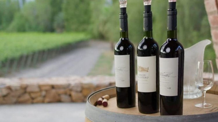 Tres Bodegas sanjuaninas ya tienen su sello Vitivinicultura Argentina Sostenible