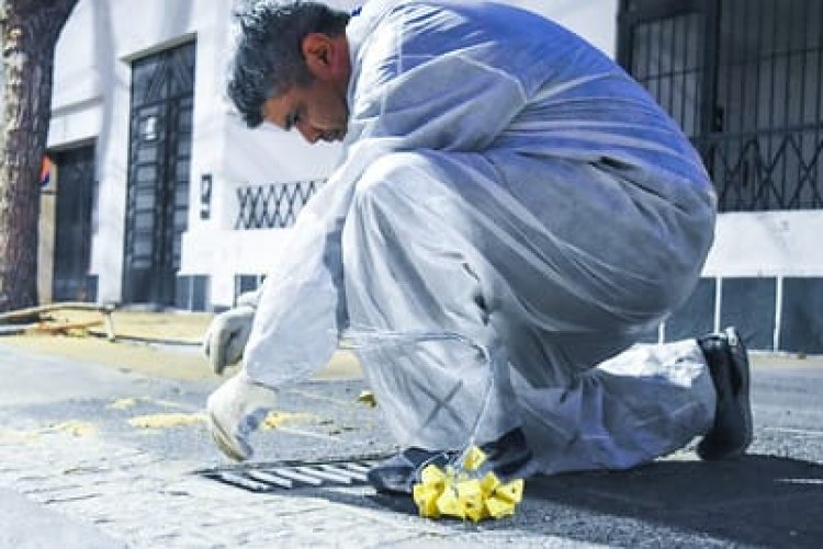 Conocé el cronograma de desratización y desinsectación en la Ciudad