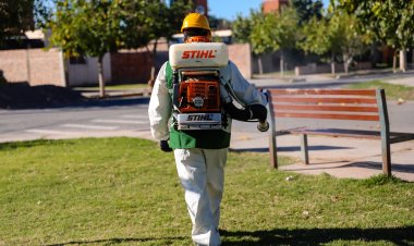Conocé el cronograma de desratización y desinsectación en la Ciudad de San Juan