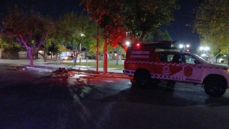 Rivadavia lamenta el vandalismo de los nuevos contenedores de residuos