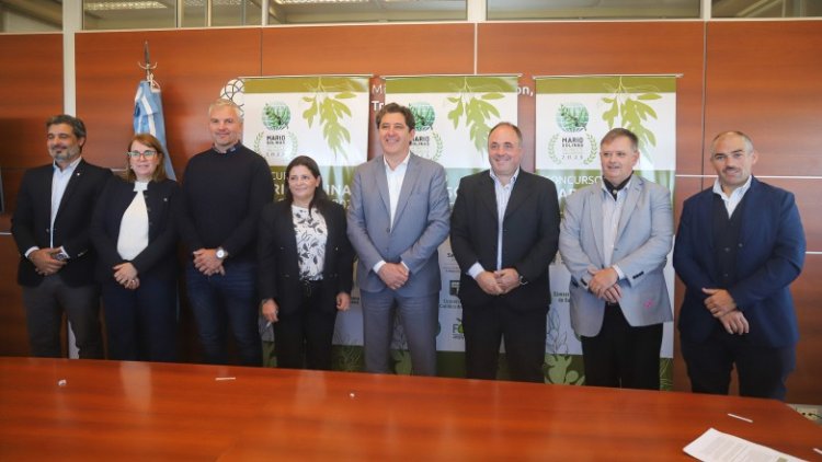 En San Juan se elegirán los mejores aceites de oliva del hemisferio sur