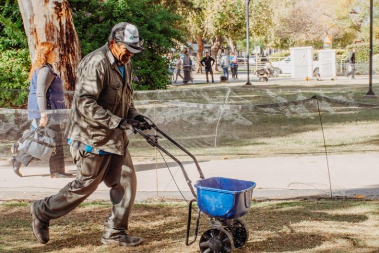 Resiembra de otoño en el Centro Cívico y el Teatro del Bicentenario