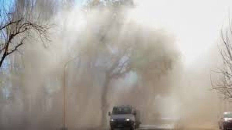 Alerta amarilla por FUERTE viento Zonda