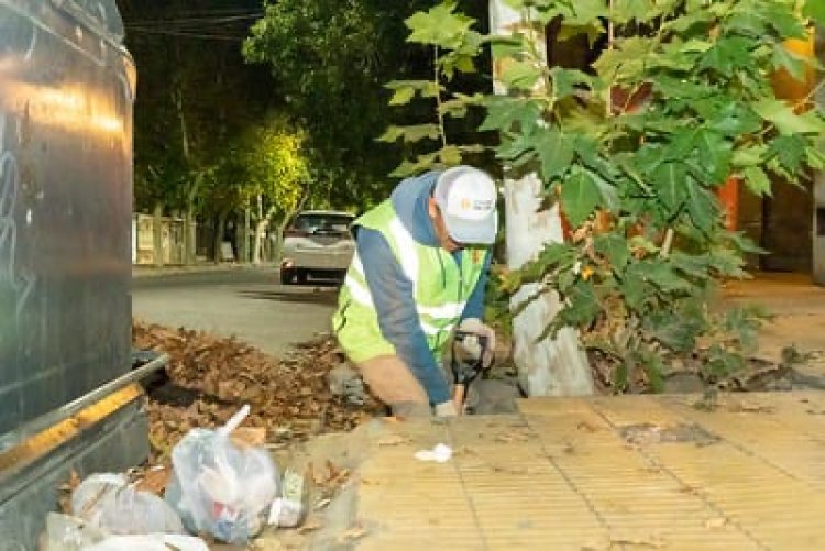Continúa el Plan de Poda para mejorar la iluminación, seguridad y salud del arbolado de la Ciudad