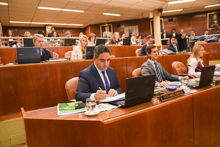 Aprobaron la implementación del Dispositivo del Área de Género en los diecinueve departamentos