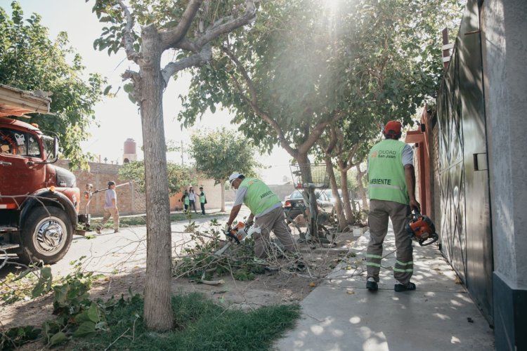 Como funcionarán los servicios durante el fin de semana largo