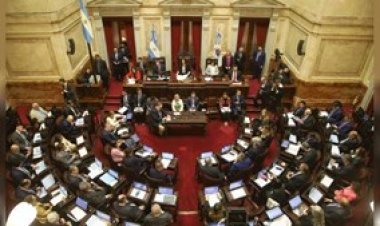 El Senado debatirá el rechazo del veto a Discapacidad y reforma de los DNU