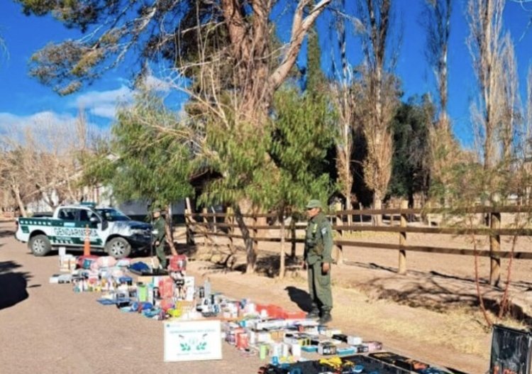 Decomisan mercadería valuada en $3 millones en Barreal